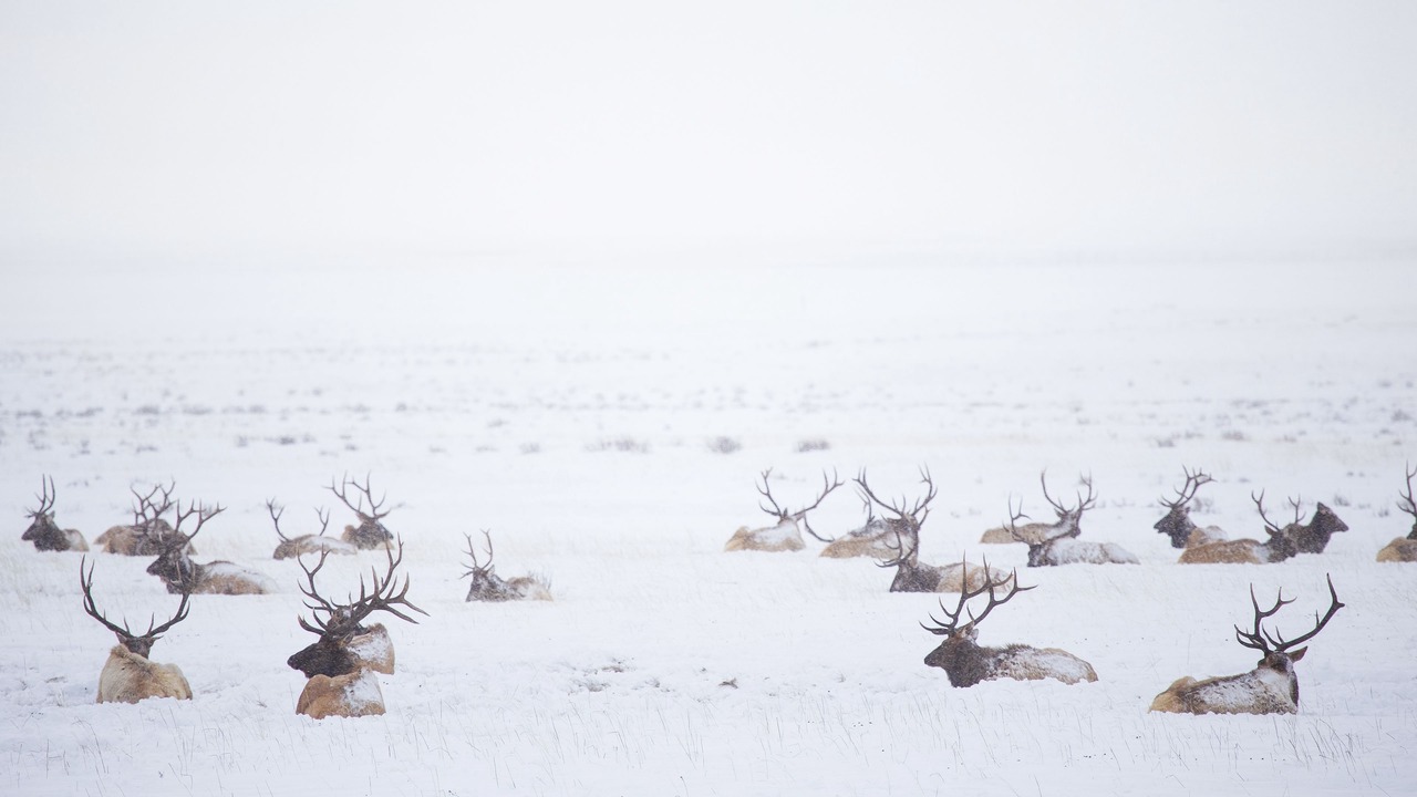 Photo of Others in Jackson