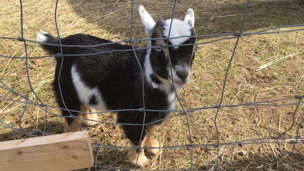 Photo of Outdoor in Annapolis Royal