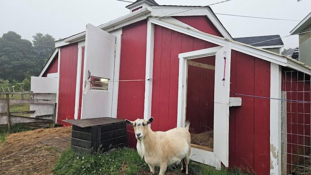 Photo of Outdoor in Annapolis Royal