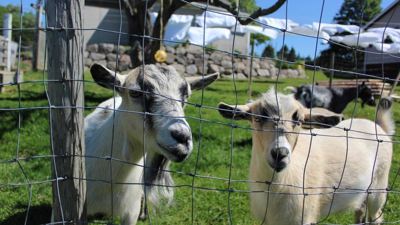 Photo of Outdoor in Annapolis Royal