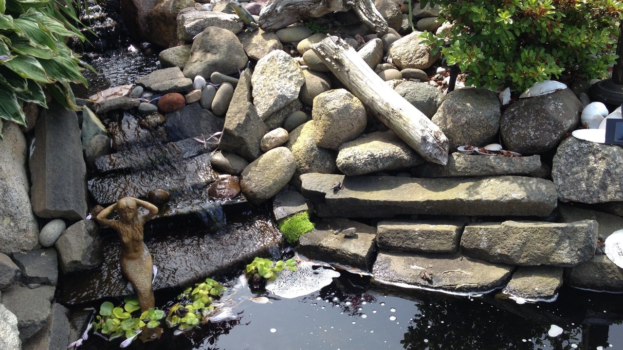 Photo of Outdoor in Annapolis Royal