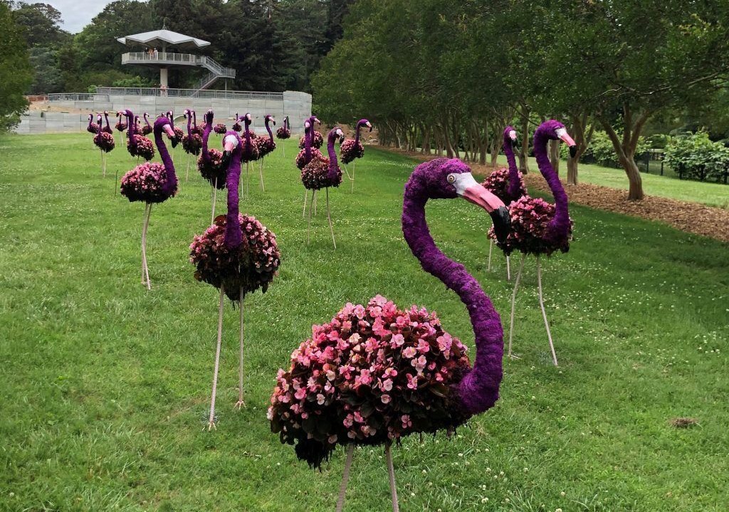 Photo of Others in Downtown