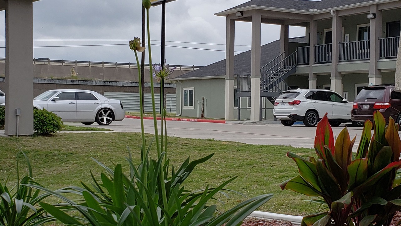 Photo of Outdoor in Barrett