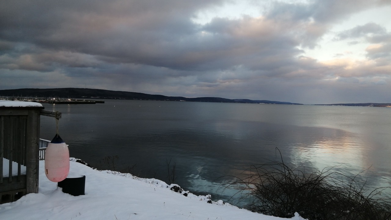 Photo of Others in Digby