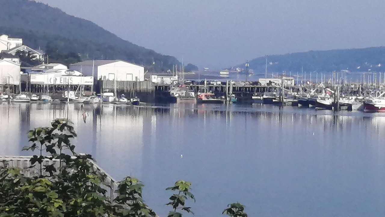 Photo of Others in Digby