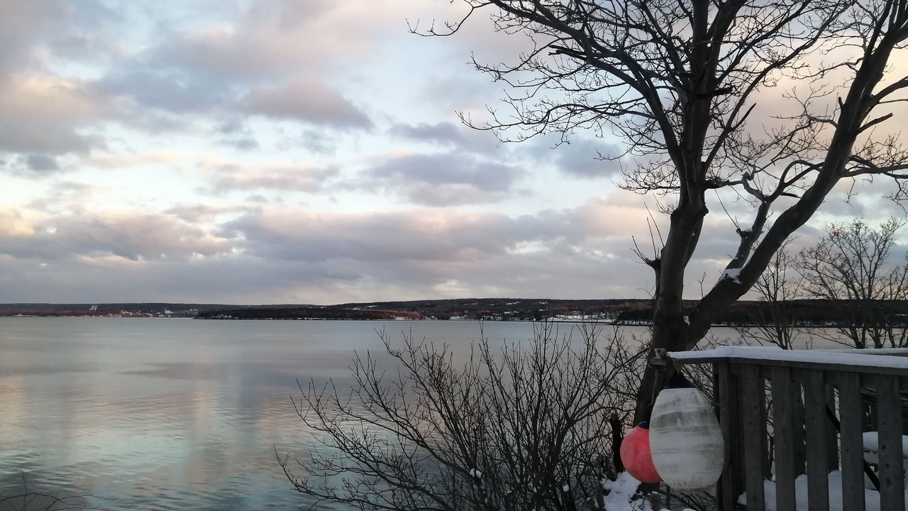 Photo of Others in Digby