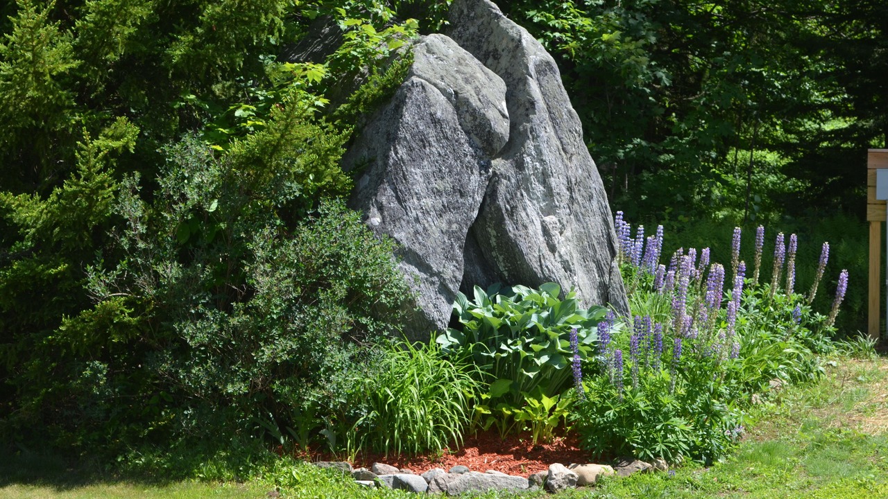 Photo of Outdoor in West Dover