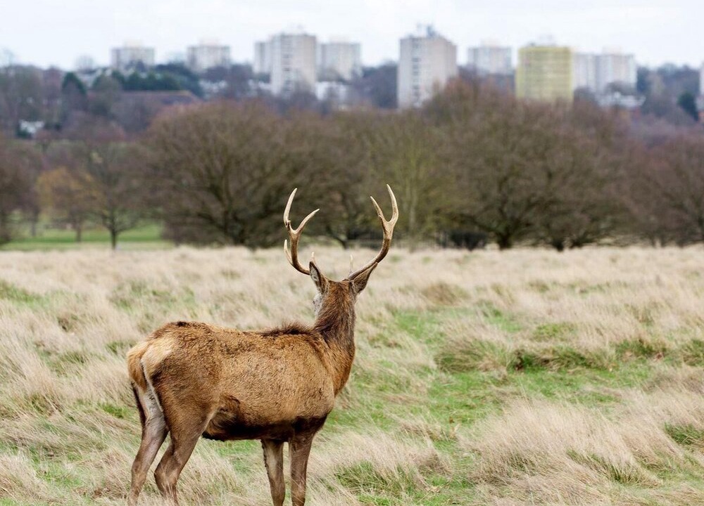 Photo of Outdoor in Blackheath