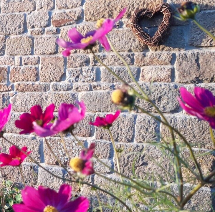 Photo of Outdoor in Langoelan