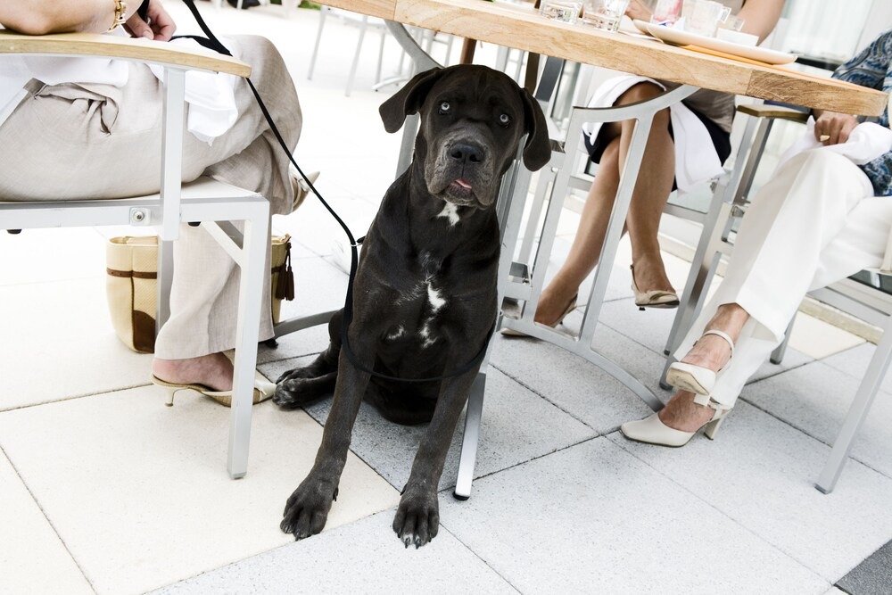 Photo of Others in Derbyshire