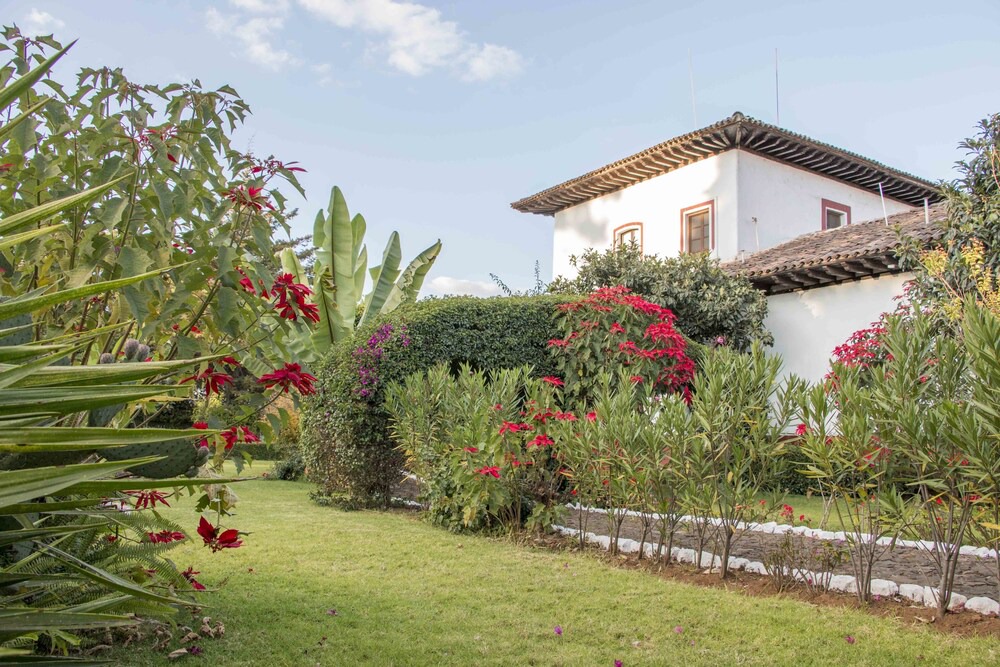 Photo of Outdoor in Patzcuaro