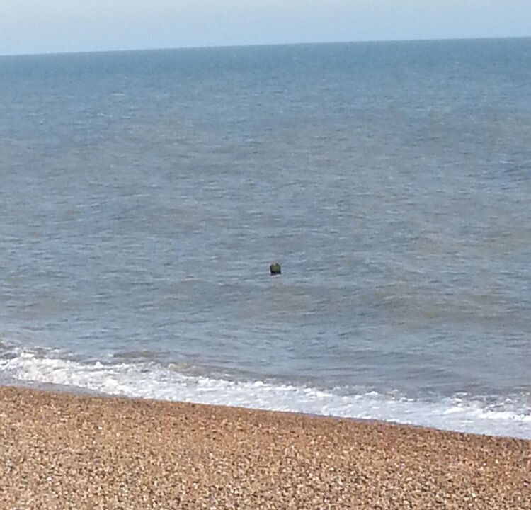 Photo of Others in Dover