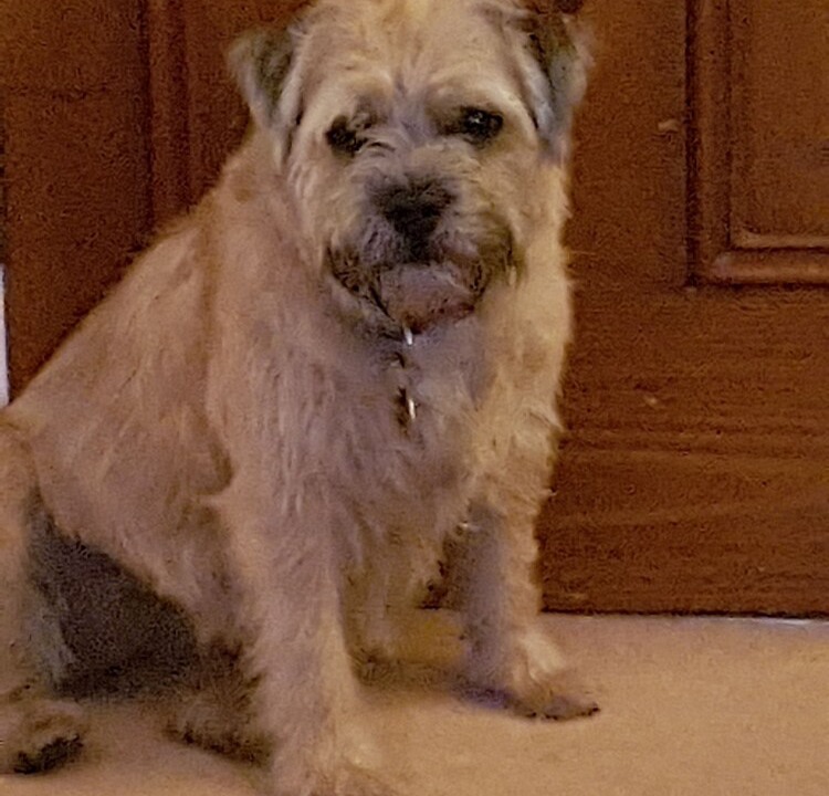 Photo of Others in Dover