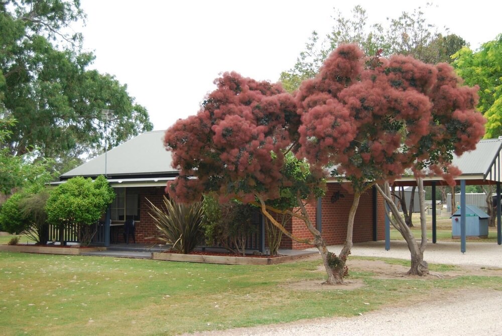 Photo of Outdoor in Mansfield