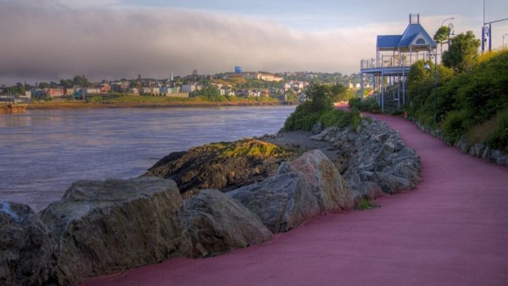 Photo of Others in Saint John