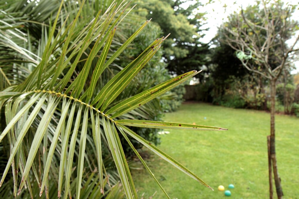Photo of Outdoor in Carantec