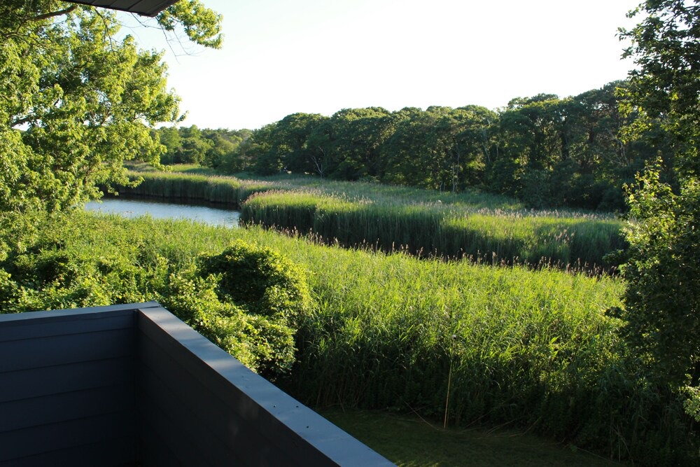 Photo of Others in East Patchogue