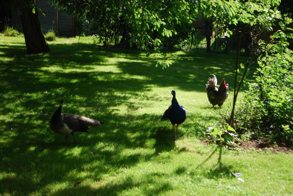 Photo of Outdoor in Cesson-Sevigne