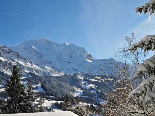 Photo of Outdoor in Wengen