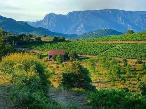 Photo of Outdoor in Fabrezan