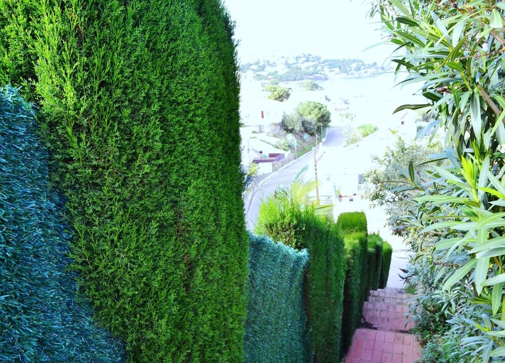 Photo of Outdoor in Llanca