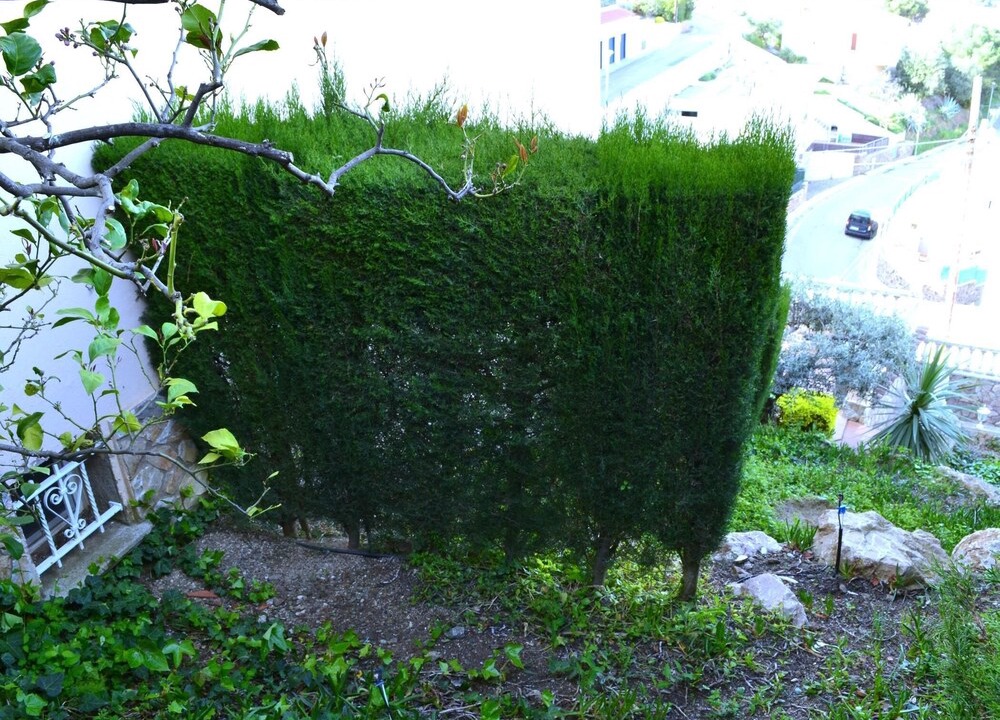 Photo of Outdoor in Llanca