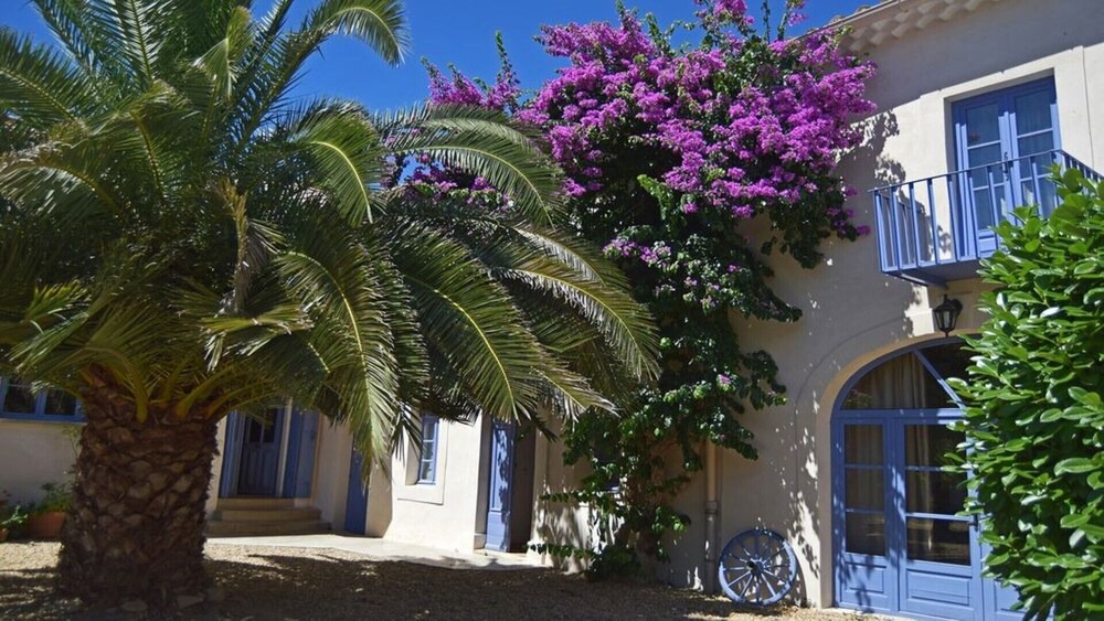 Photo of Outdoor in Nizas