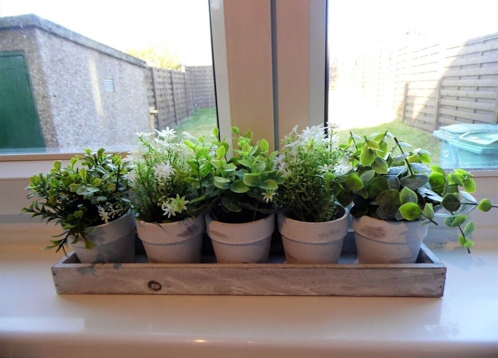 Photo of Others in Hamilton