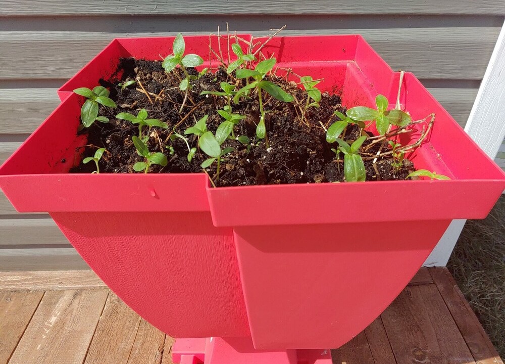 Photo of Others in Port-Daniel