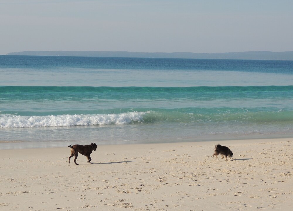 Photo of Others in Sanctuary Point