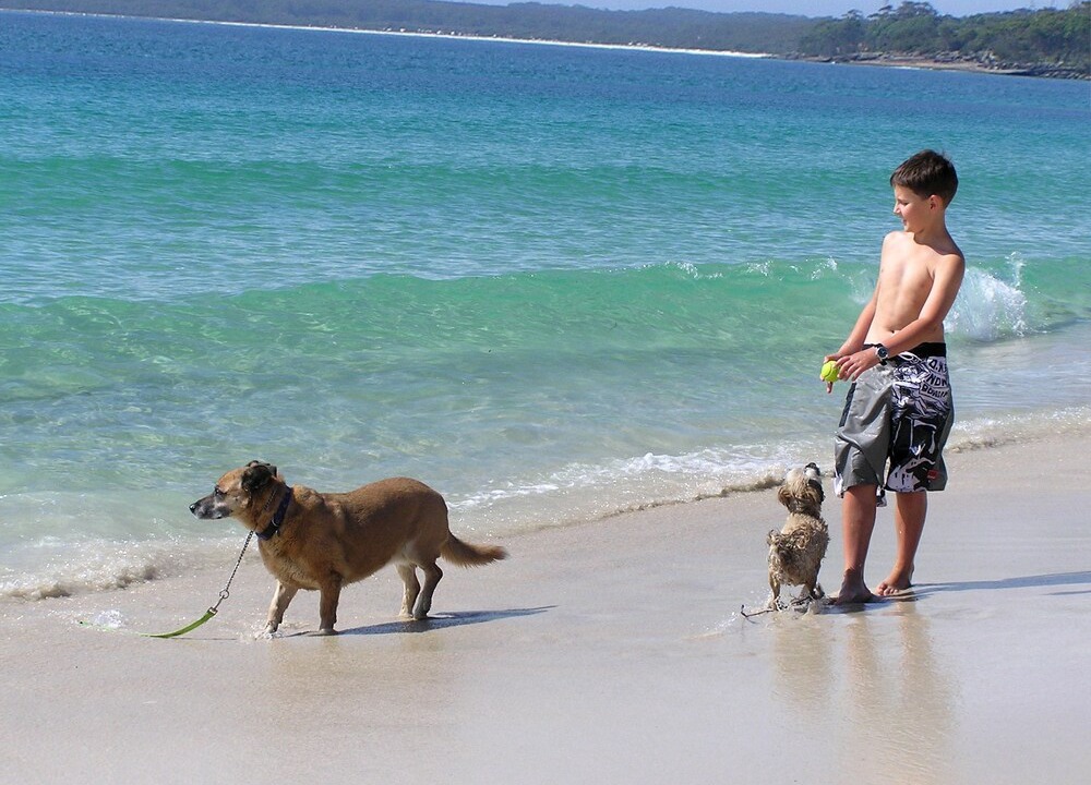 Photo of Others in Sanctuary Point