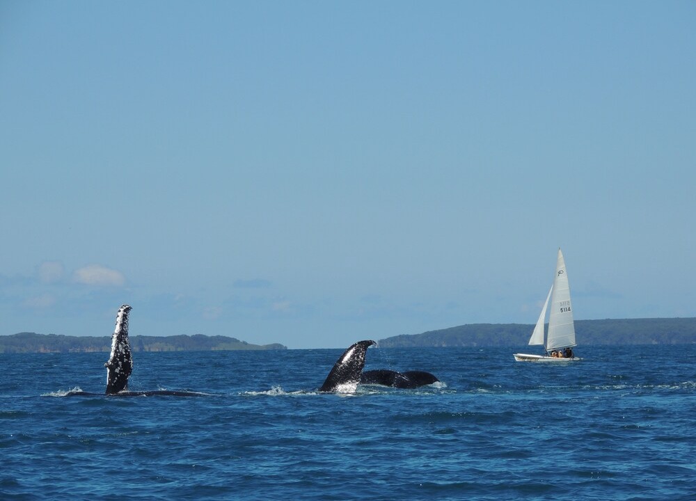 Photo of Others in Sanctuary Point