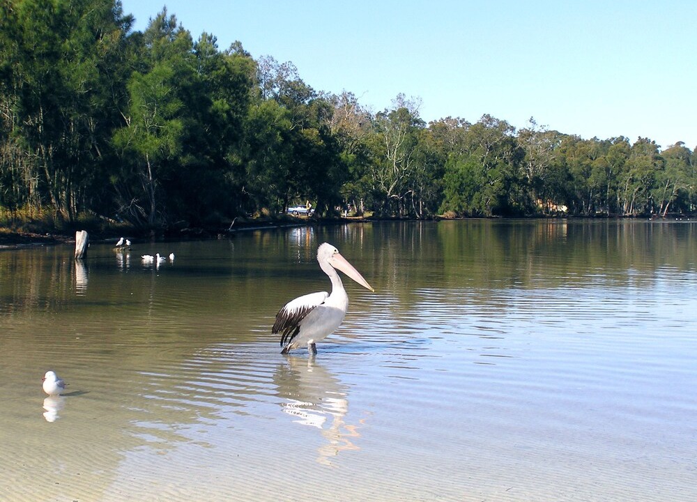Photo of Others in Sanctuary Point