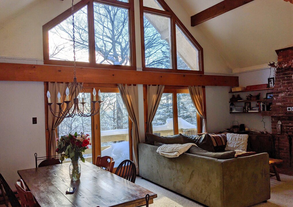 Photo of Livingroom in Bromley Mountain