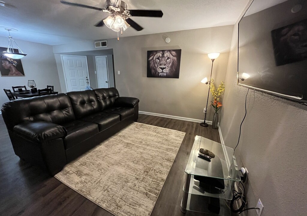 Photo of Livingroom in East Riverside - Oltorf