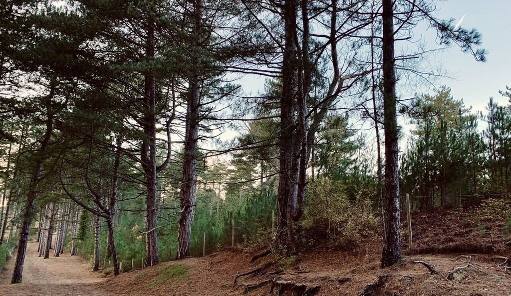 Photo of Others in Saint-Quentin-en-Tourmont