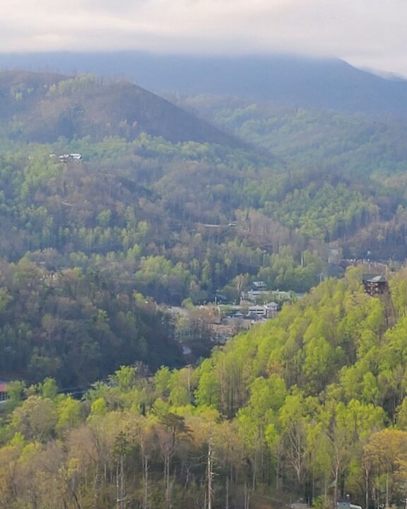 Photo of Outdoor in Gatlinburg