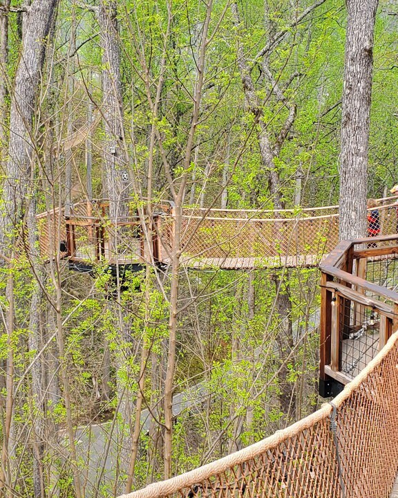 Photo of Others in Gatlinburg
