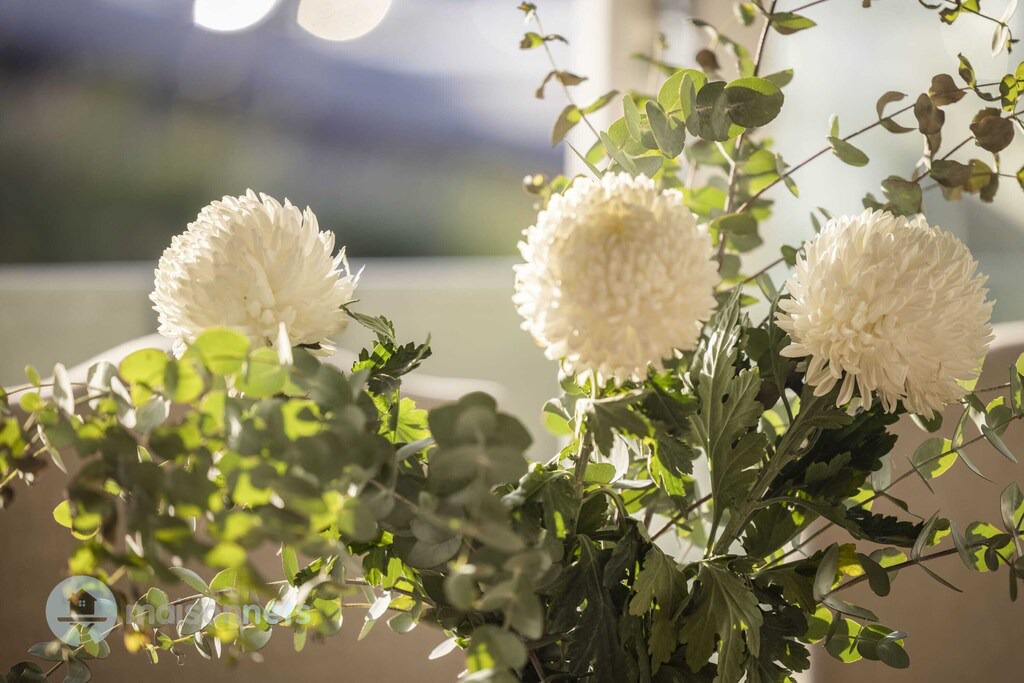 Photo of Others in Darling Point