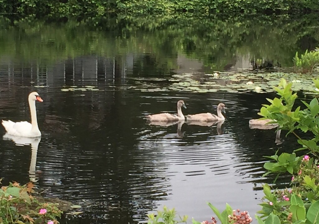 Photo of Others in Katama