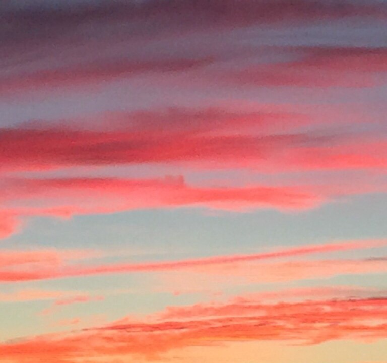 Photo of Outdoor in Katama