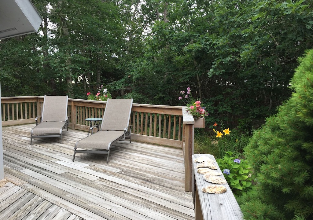 Photo of Others in Katama