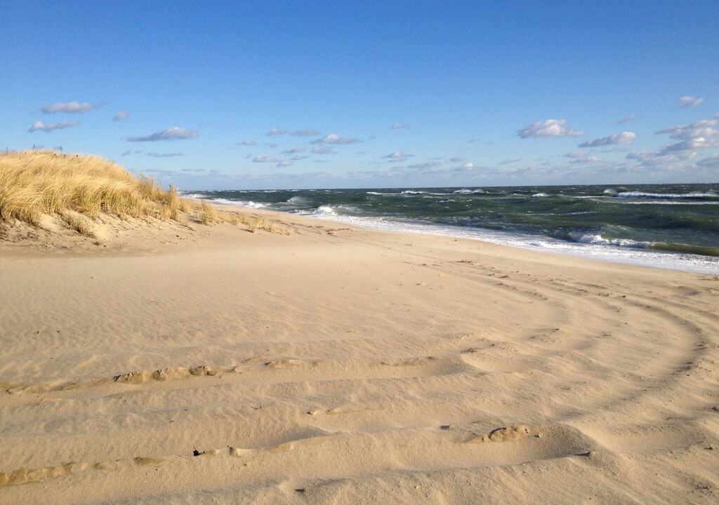 Photo of Outdoor in Katama