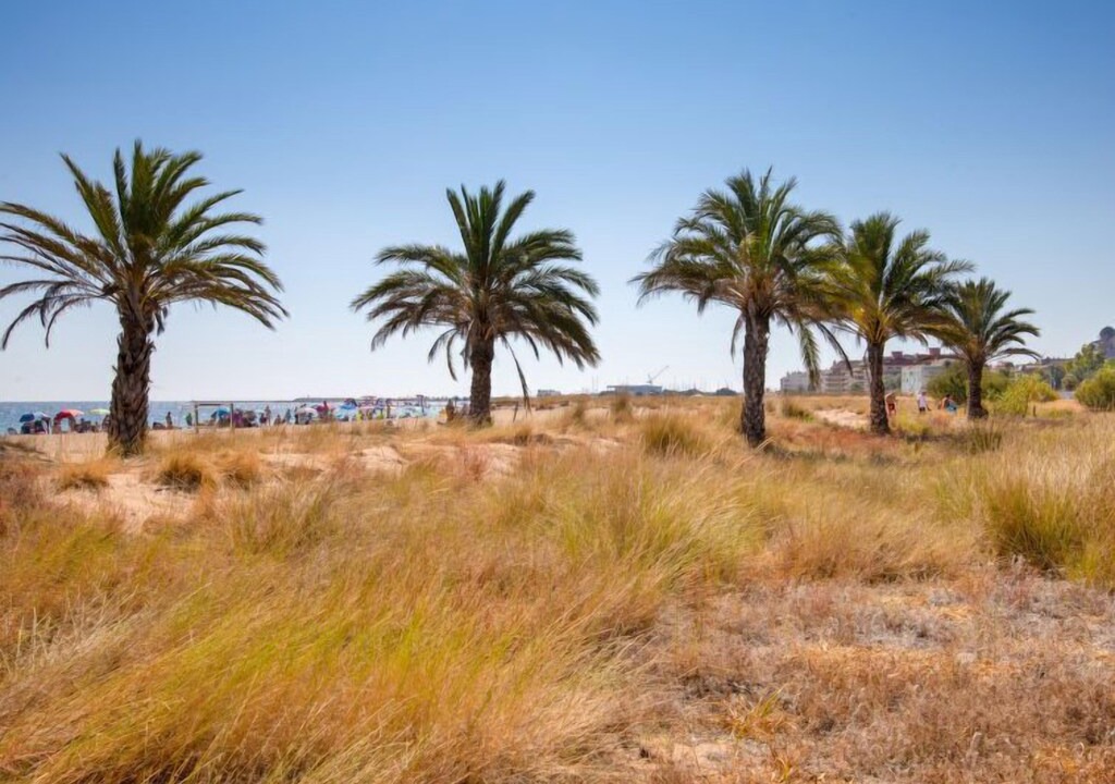 Photo of Outdoor in Denia