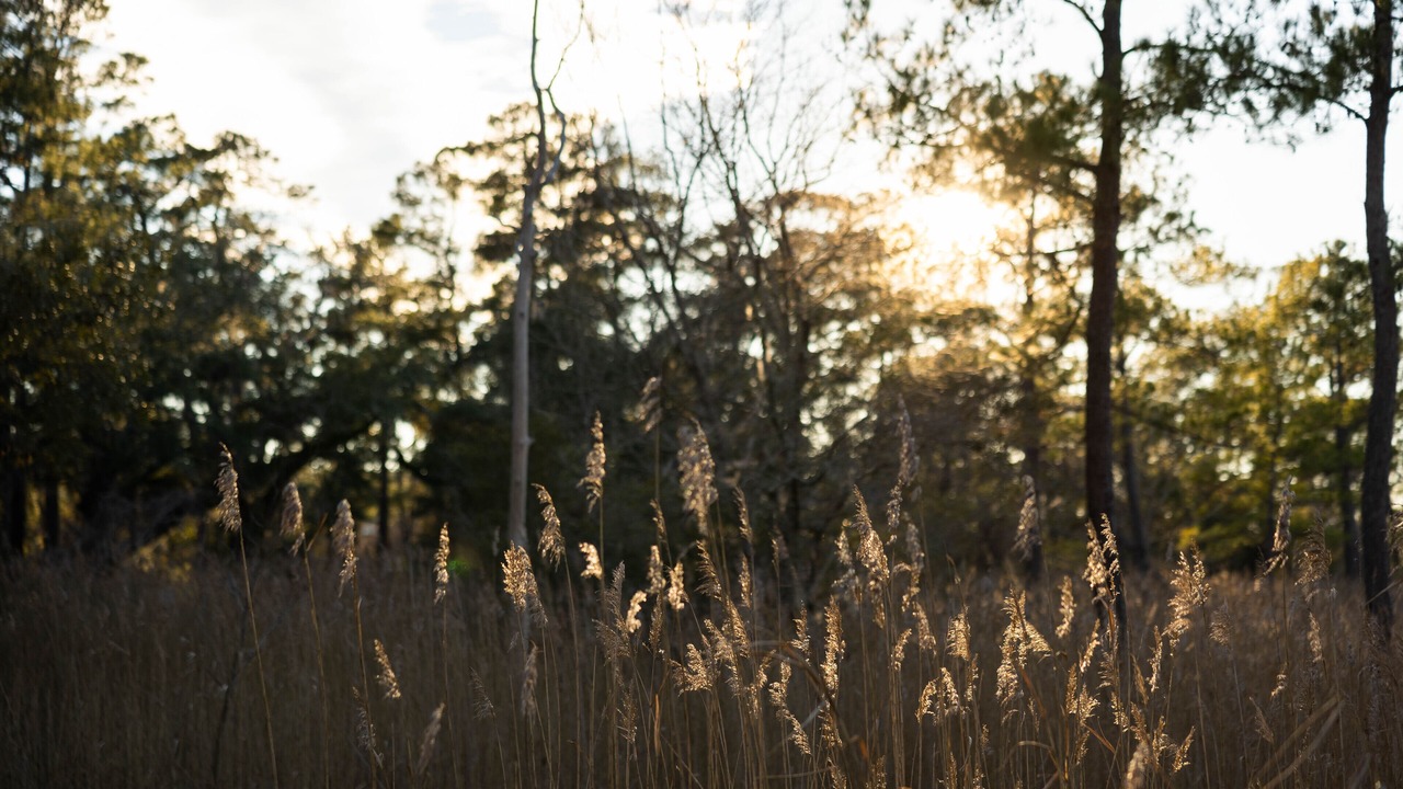 Photo of Outdoor in Georgetown