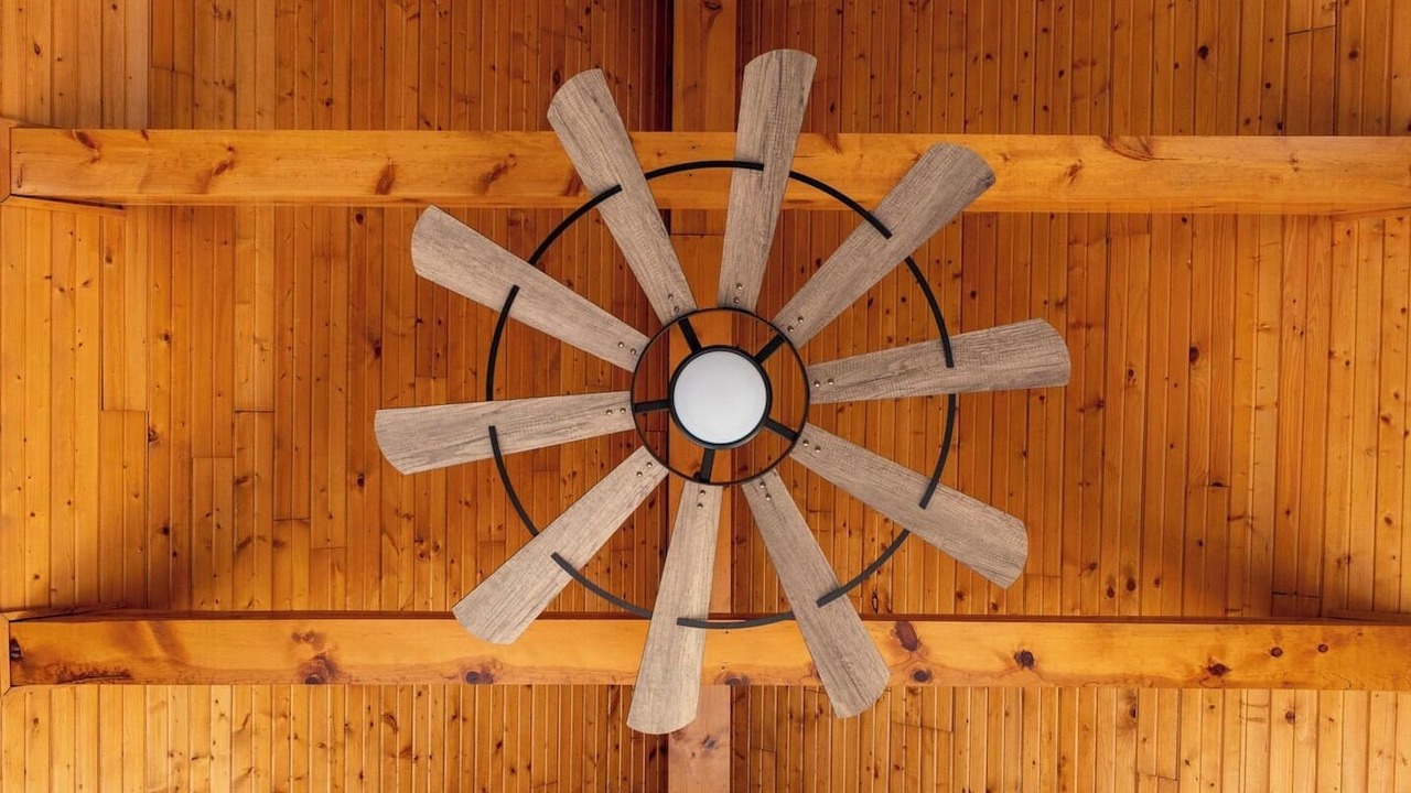 Photo of Others in Ozark