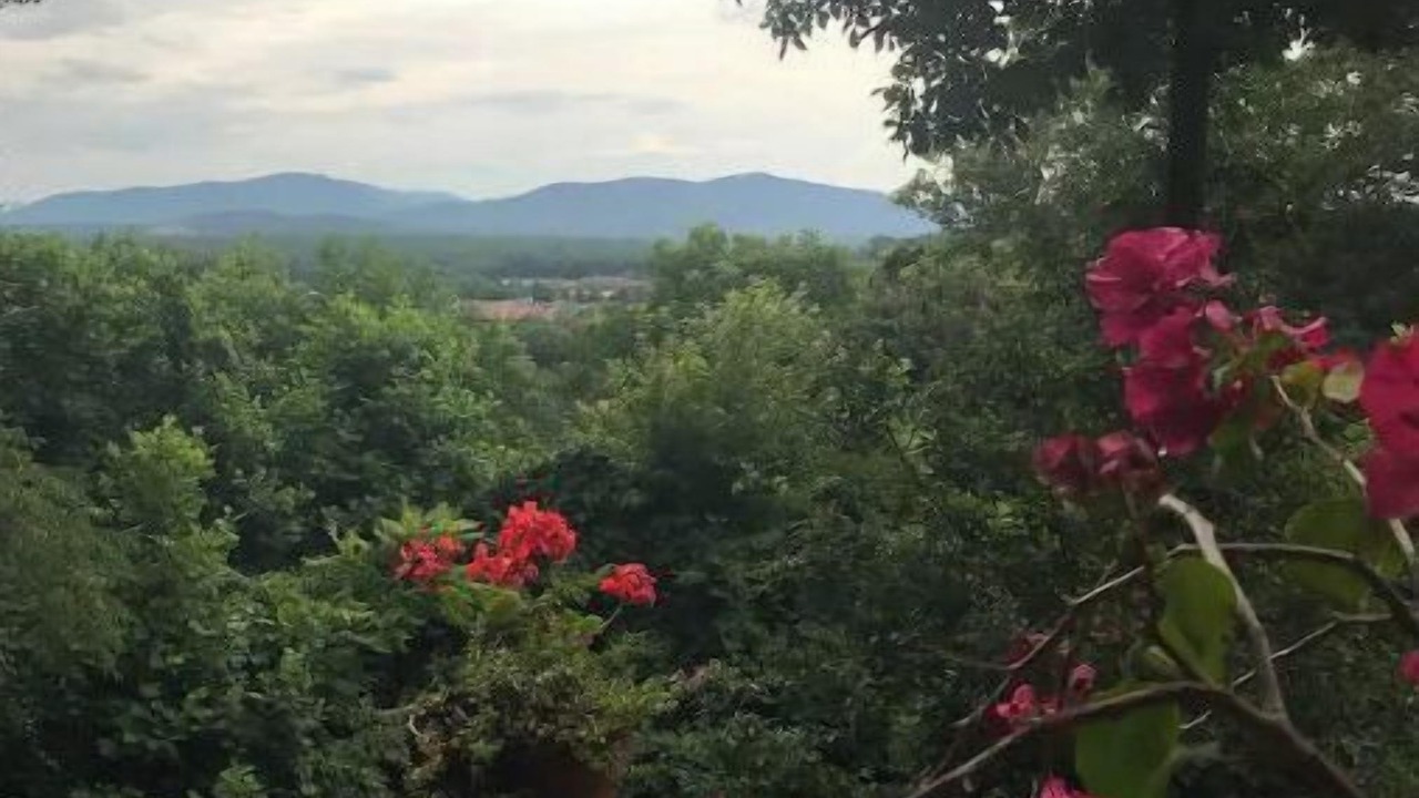Photo of Outdoor in Skyland