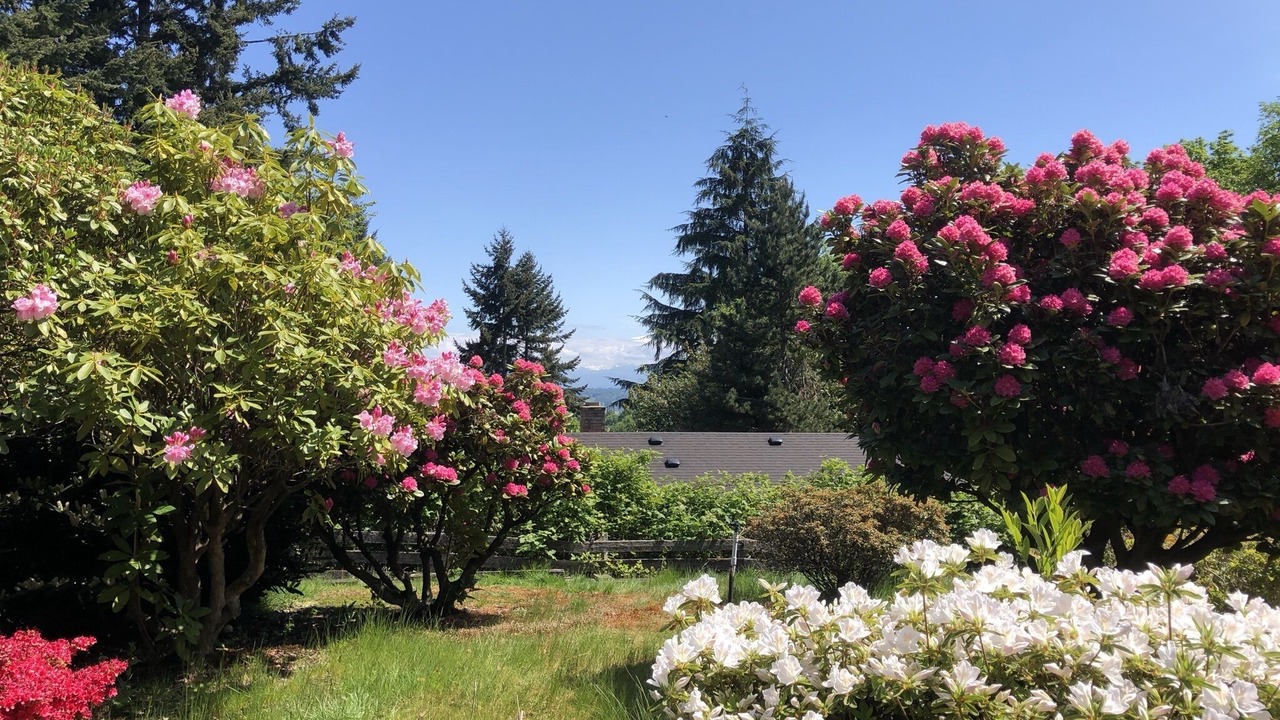 Photo of Outdoor in Port Gardner