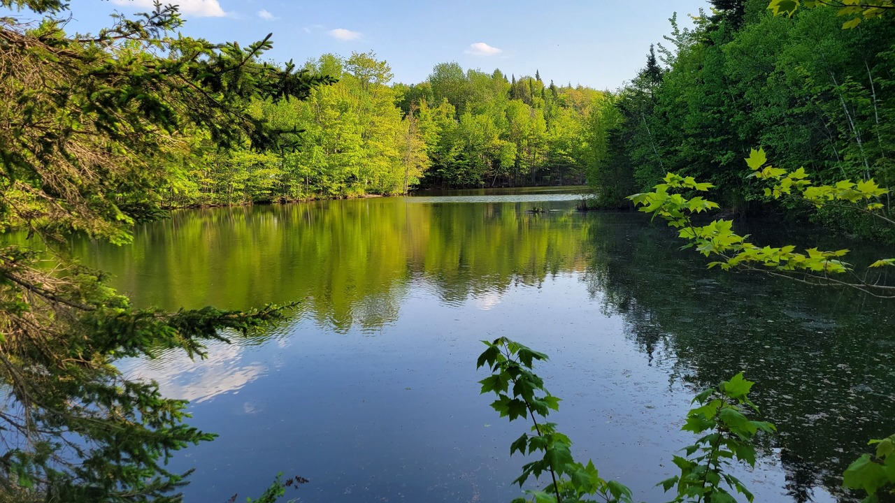 Photo of Outdoor in Sainte-Ann-des-Lacs