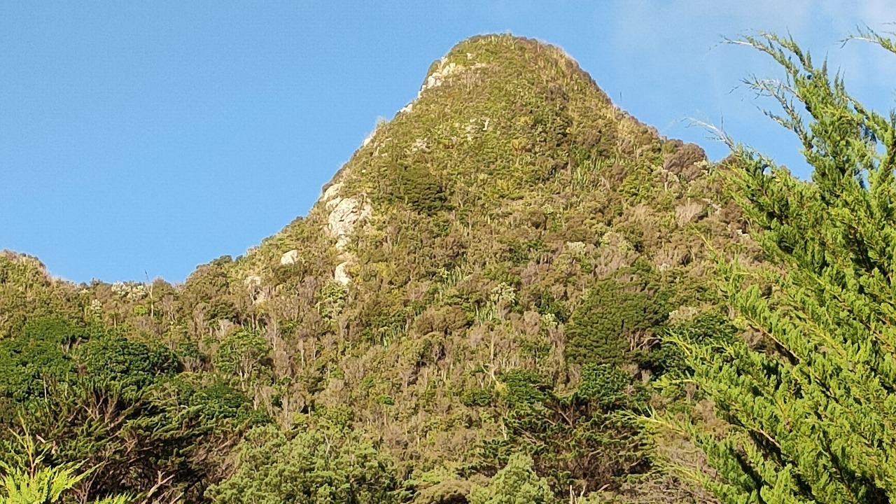 Photo of Others in Ruawai